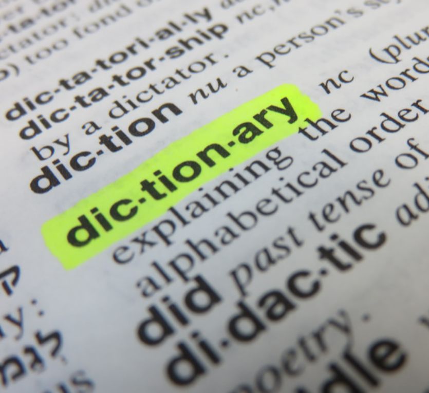 Custom Tech Glossary & Terminology Database